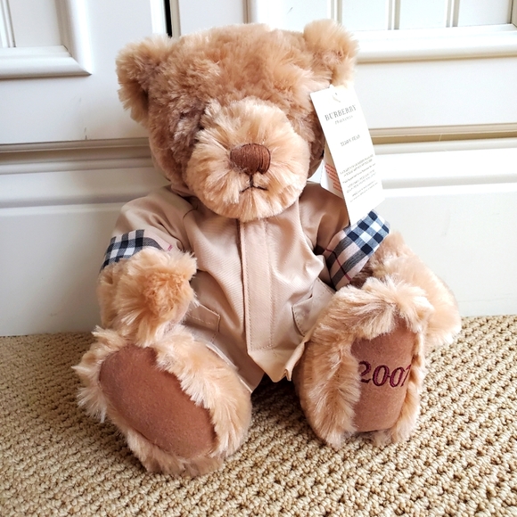 Burberry Other - Burberry Teddy Bear 2007 Removable Raincoat with Nova Check Interior NWT NEW